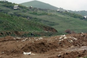 A hidden ecological disaster