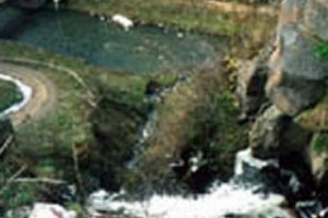 Pollution of the Debed River has become a health hazard