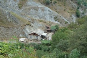 Արցախում սեփականաշնորհված զգալի տարածքներ մնում են անմշակ. ըստ վարչապետի՝ դա անթույլատրելի է