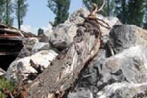 The government seizes yet another green area