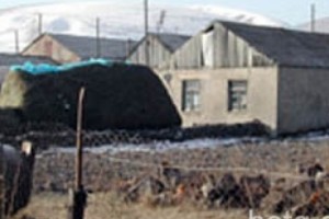 Լճաշենի «Մի կաթիլ մեղրը»