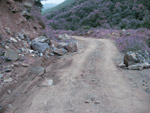 30_06-motkor_road 30_06-motkor_road