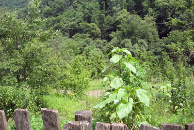 06_07-teghut-1
