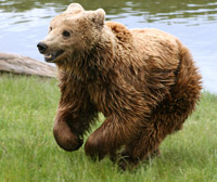 06_07-teghut-2
