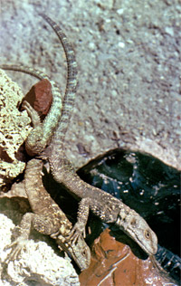 06_07-teghut-3