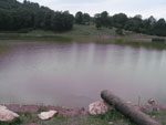 24_07-lake
