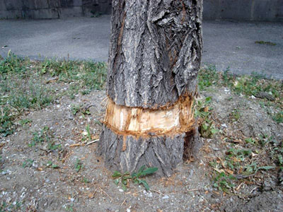 01_08-Gyumri1